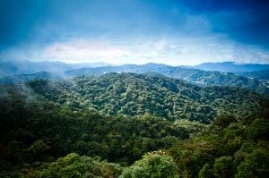 Cameron Highlands half day tour review Mount Brinchang
