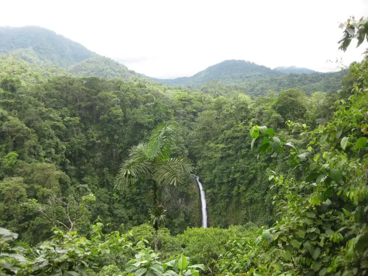 Costa Rica Nature