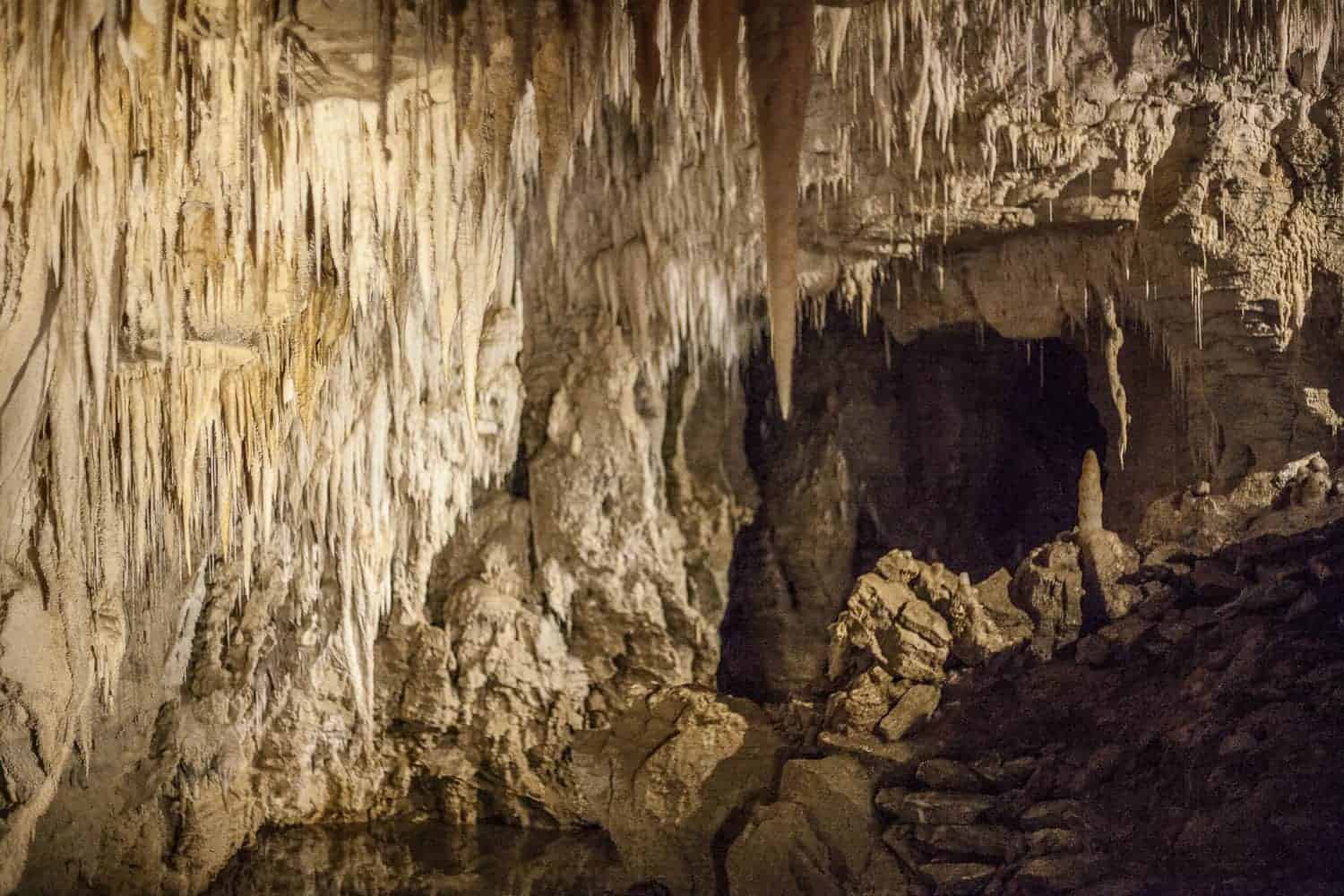 Waitomo cave tour review