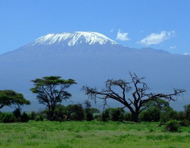 kilimanjaro travel information