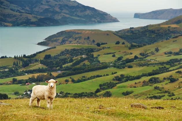 When is the best time of year to visit New Zealand?